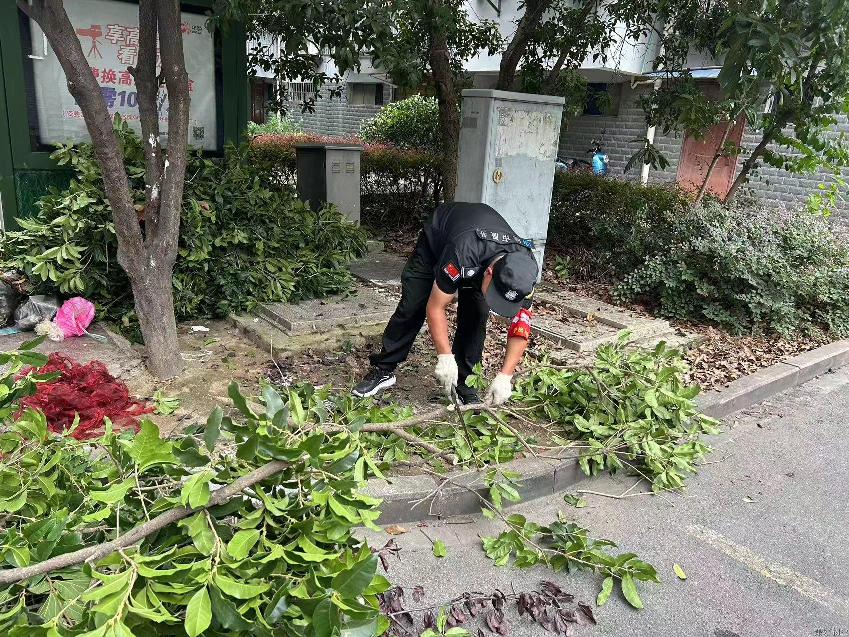 “洁”尽全力 守护优美 | 绣出高颜值，焕新老小区